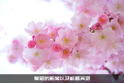 简短的新闻以及标题英语