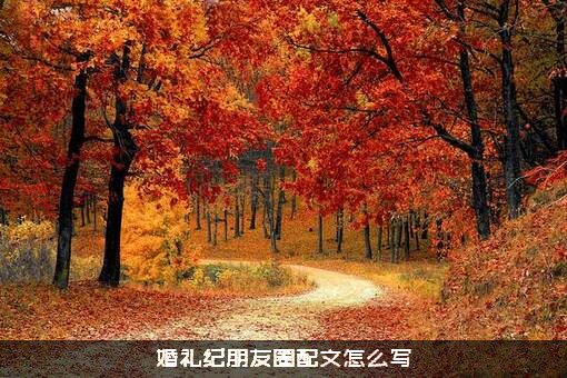 婚礼纪朋友圈配文怎么写