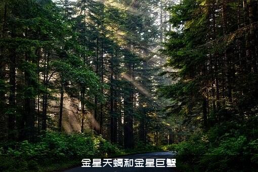 金星天蝎和金星巨蟹