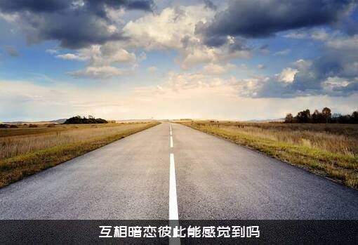 互相暗恋彼此能感觉到吗
