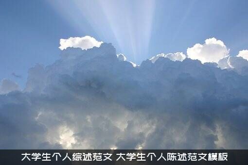 大学生个人综述范文（大学生个人陈述范文模板）