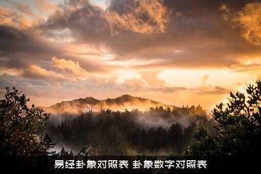 易经卦象对照表（卦象数字对照表）