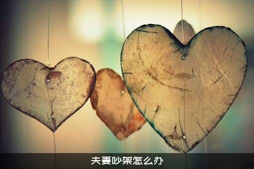 夫妻吵架怎么办