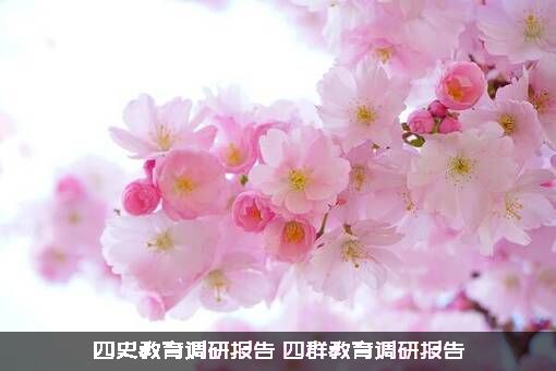 四史教育调研报告（四群教育调研报告）