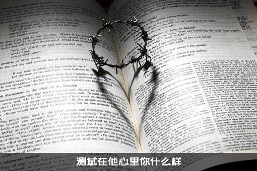 测试在他心里你什么样