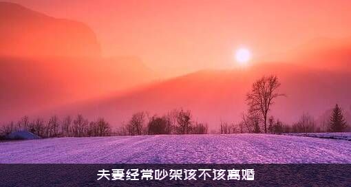 夫妻经常吵架该不该离婚
