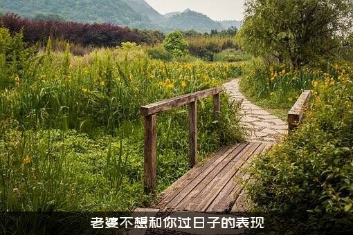 老婆不想和你过日子的表现