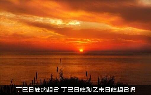 丁巳日柱的相合（丁巳日柱和乙未日柱相合吗）