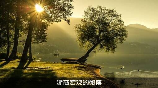 浙商宏观的微博