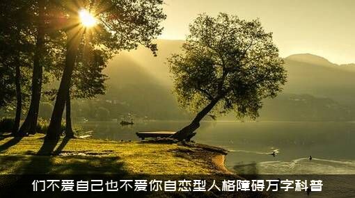 们不爱自己也不爱你自恋型人格障碍万字科普