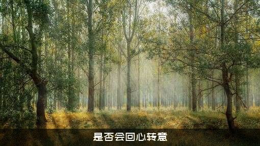 是否会回心转意