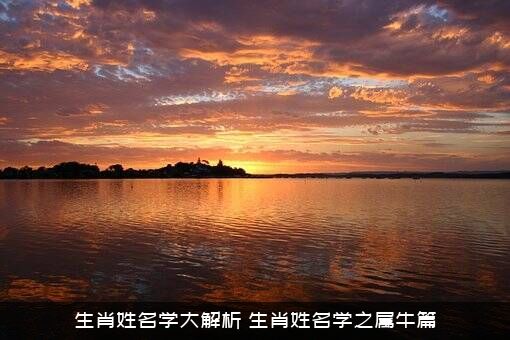 生肖姓名学大解析（生肖姓名学之属牛篇）