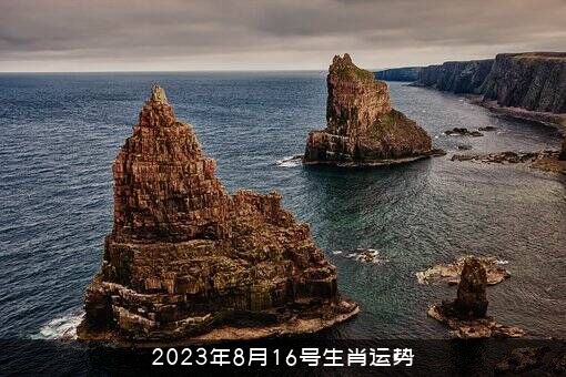 2023年8月16号生肖运势