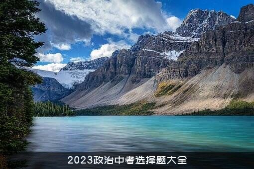 2023政治中考选择题大全