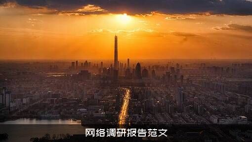 网络调研报告范文
