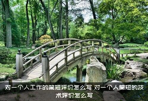 对一个人工作的简短评价怎么写？对一个人简短的技术评价怎么写？