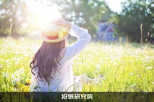 招银研究院