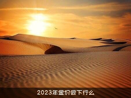 2023年金价会下行么