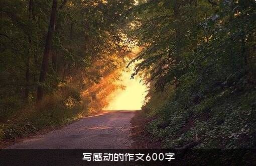 写感动的作文600字
