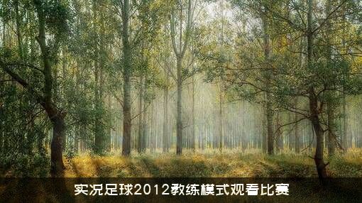 实况足球2012教练模式观看比赛