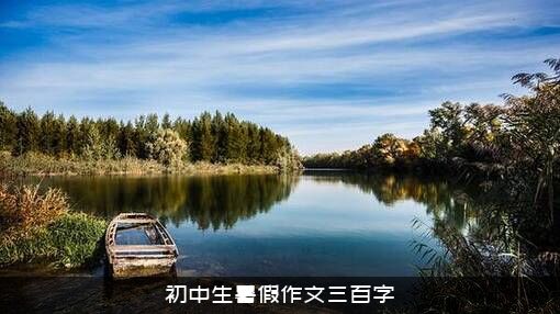 初中生暑假作文三百字