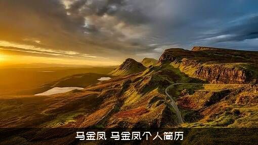 马金凤（马金凤个人简历）