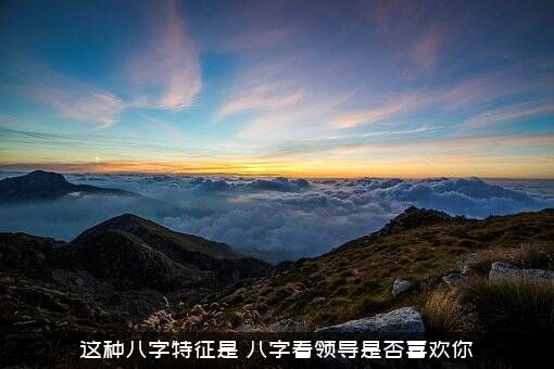 这种八字特征是（八字看领导是否喜欢你）