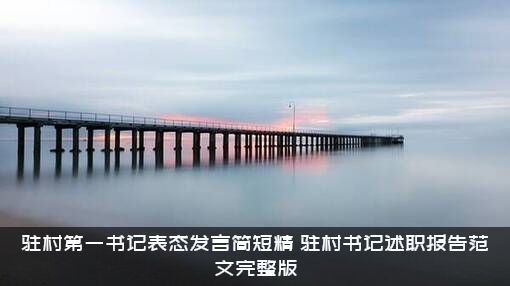 驻村第一书记表态发言简短精（驻村书记述职报告范文完整版）