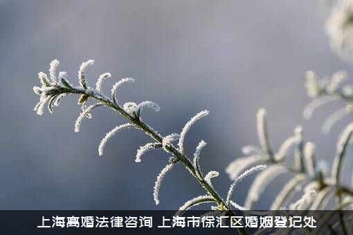 上海离婚法律咨询（上海市徐汇区婚姻登记处）