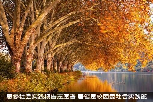 思修社会实践报告志愿者（署名是校团委社会实践部）