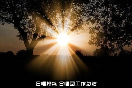 合唱排练（合唱团工作总结）