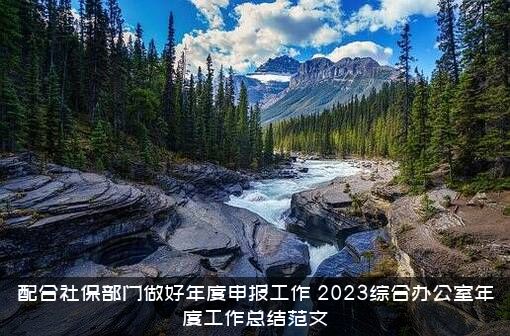 配合社保部门做好年度申报工作（2023综合办公室年度工作总结范文）