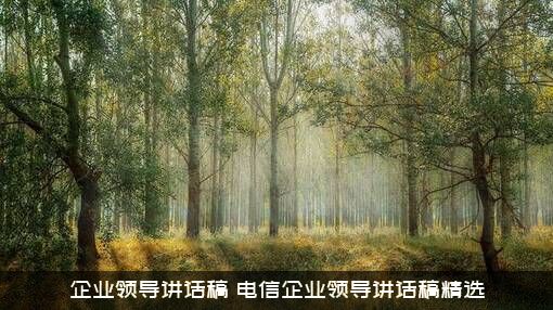 企业领导讲话稿（电信企业领导讲话稿精选）