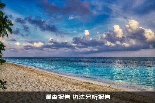 调查报告（执法分析报告）