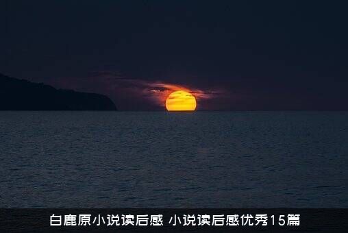 白鹿原小说读后感（小说读后感优秀15篇）