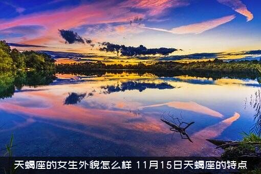 天蝎座的女生外貌怎么样（11月15日天蝎座的特点）