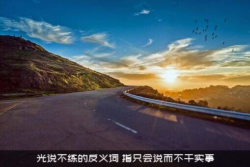 光说不练的反义词？指只会说而不干实事？