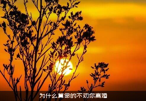 为什么算命的不劝你离婚
