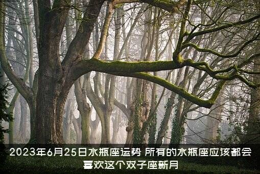 2023年6月25日水瓶座运势（所有的水瓶座应该都会喜欢这个双子座新月）