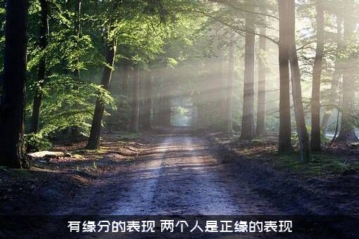 有缘分的表现（两个人是正缘的表现）