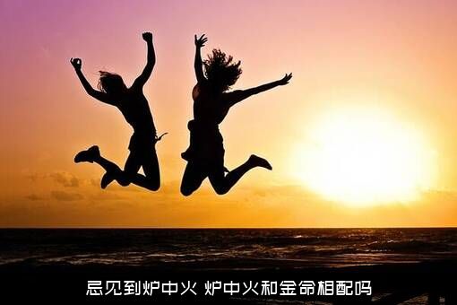 忌见到炉中火（炉中火和金命相配吗）