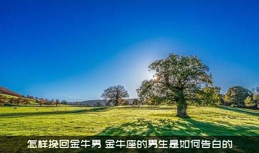 怎样挽回金牛男？金牛座的男生是如何告白的？