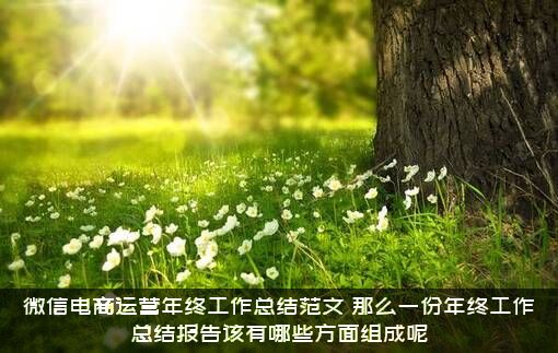 微信电商运营年终工作总结范文（那么一份年终工作总结报告该有哪些方面组成呢）