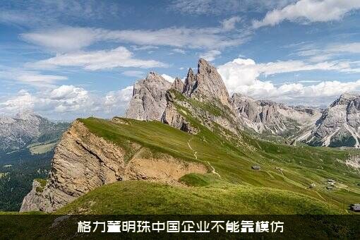 格力董明珠中国企业不能靠模仿