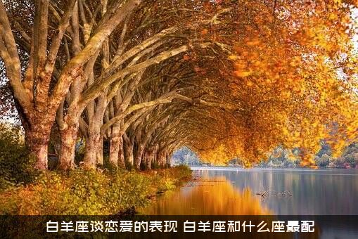 白羊座谈恋爱的表现（白羊座和什么座最配）