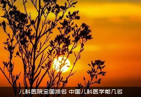 儿科医院全国排名（中国儿科医学前几名）