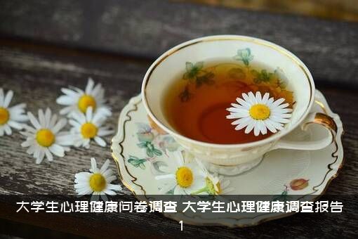 大学生心理健康问卷调查（大学生心理健康调查报告1）