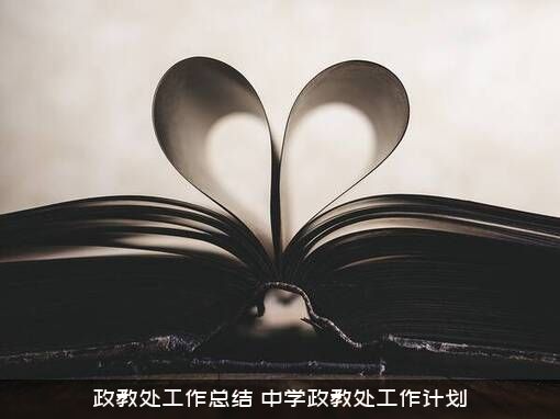 政教处工作总结（中学政教处工作计划）