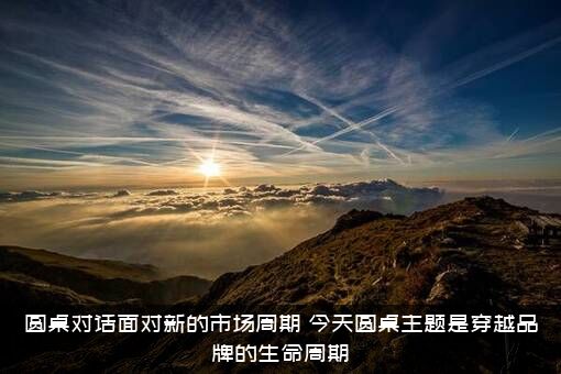 圆桌对话面对新的市场周期（今天圆桌主题是穿越品牌的生命周期）