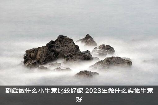 到底做什么小生意比较好呢（2023年做什么实体生意好）